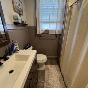 Photo #20 of 1481 ELLIS ST, GREENBACKVILLE, VA 0.6 acres