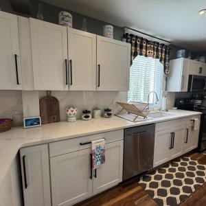 Photo #6 of 1481 ELLIS ST, GREENBACKVILLE, VA 0.6 acres