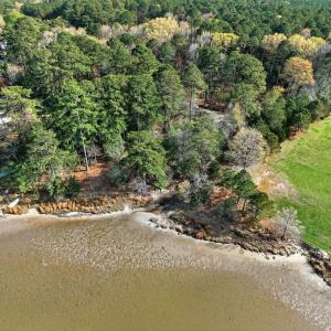 Photo #3 of 15181 TAYLOR CREEK DR, PUNGOTEAGUE, VA 6.0 acres