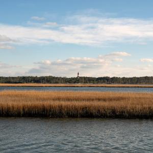 Photo #34 of 7718 EAST SIDE RD, CHINCOTEAGUE, VA