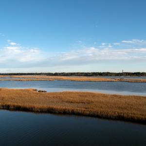 Photo #35 of 7718 EAST SIDE RD, CHINCOTEAGUE, VA