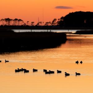 Photo #36 of 7718 EAST SIDE RD, CHINCOTEAGUE, VA
