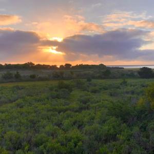 Photo #10 of 6526 BROADWATER CIR, CAPE CHARLES, VA 40.0 acres