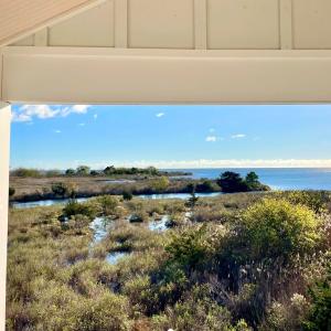 Photo #12 of 6526 BROADWATER CIR, CAPE CHARLES, VA 40.0 acres