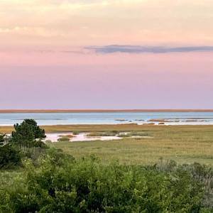Photo #9 of 6526 BROADWATER CIR, CAPE CHARLES, VA 40.0 acres