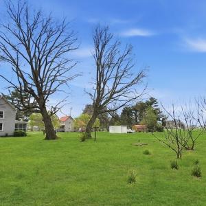 Photo #4 of 21415 CHERRIX LN, TASLEY, VA 0.9 acres