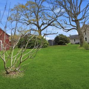 Photo #6 of 21415 CHERRIX LN, TASLEY, VA 0.9 acres