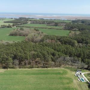 Photo #4 of 24385 DIX FARM DR, ACCOMAC, VA 3.3 acres