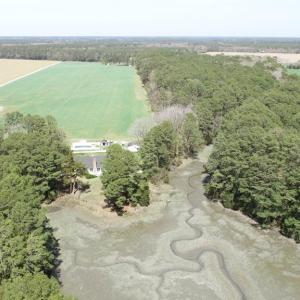 Photo #6 of 24385 DIX FARM DR, ACCOMAC, VA 3.3 acres