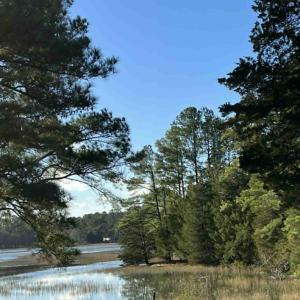 Photo #2 of 24385 DIX FARM DR, ACCOMAC, VA 3.3 acres