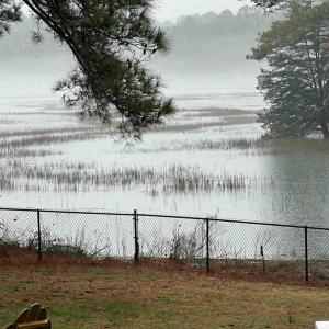 Photo #4 of 24385 DIX FARM DR, ACCOMAC, VA 3.3 acres