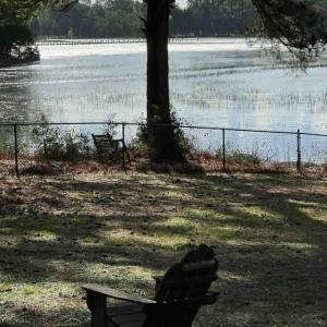 Photo #52 of 24385 DIX FARM DR, ACCOMAC, VA 3.3 acres