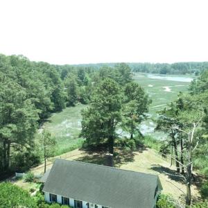 Photo #11 of 24385 DIX FARM DR, ACCOMAC, VA 3.3 acres