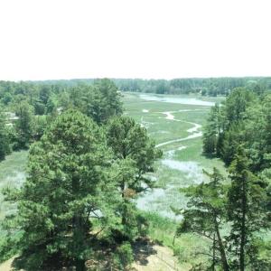 Photo #56 of 24385 DIX FARM DR, ACCOMAC, VA 3.3 acres