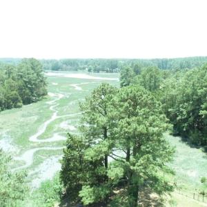 Photo #57 of 24385 DIX FARM DR, ACCOMAC, VA 3.3 acres