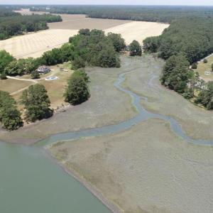 Photo #8 of 24385 DIX FARM DR, ACCOMAC, VA 3.3 acres