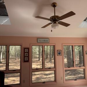 Photo #14 of 8175 DENWOOD RD, FRANKTOWN, VA 9.3 acres