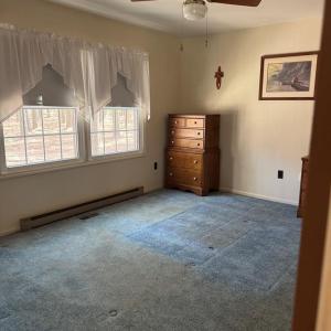 Photo #15 of 8175 DENWOOD RD, FRANKTOWN, VA 9.3 acres