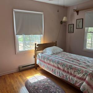 Photo #17 of 8175 DENWOOD RD, FRANKTOWN, VA 9.3 acres