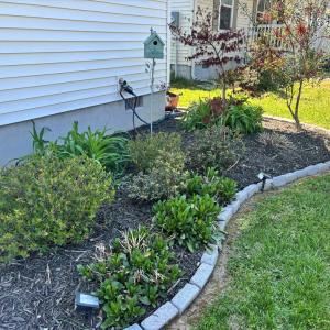Front Landscaping