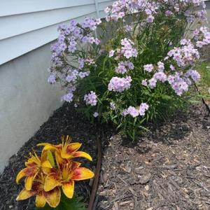 Photo #57 of 16 JOHNSON STREET, ONANCOCK, VA 0.3 acres