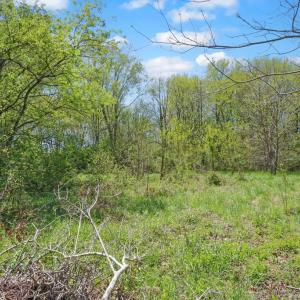 Photo #25 of 22622 LEE MONT RD, PARKSLEY, VA 2.0 acres