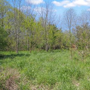 Photo #26 of 22622 LEE MONT RD, PARKSLEY, VA 2.0 acres