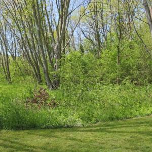 Photo #7 of 22622 LEE MONT RD, PARKSLEY, VA 2.0 acres