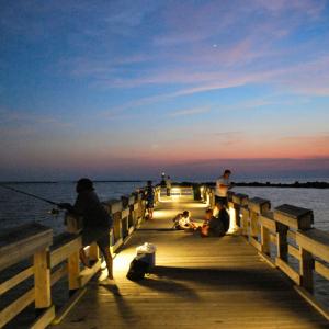 Photo #41 of 245 MASON AVE, CAPE CHARLES, VA