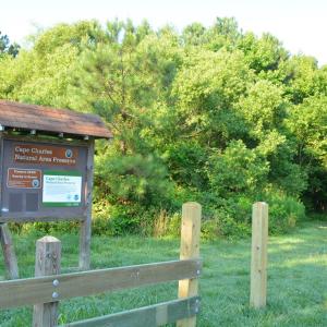 Photo #44 of 245 MASON AVE, CAPE CHARLES, VA