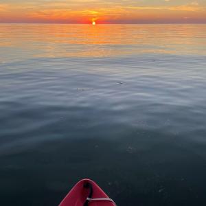 Photo #55 of 245 MASON AVE, CAPE CHARLES, VA