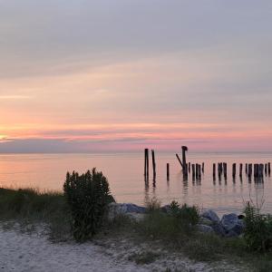 Photo #46 of 525 MONROE AVE, CAPE CHARLES, VA 40.0 acres
