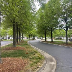 Photo #14 of 404 CLARET COURT, CAPE CHARLES, VA