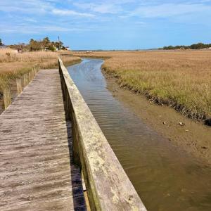 Photo #23 of 6392 TEAL LN, CHINCOTEAGUE, VA 0.0 acres