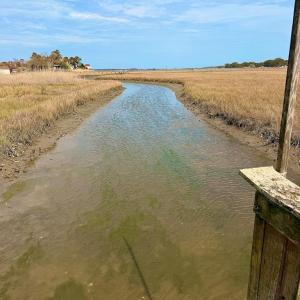 Photo #24 of 6392 TEAL LN, CHINCOTEAGUE, VA 0.0 acres