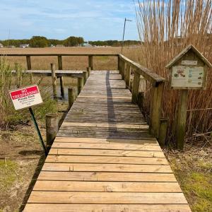 Photo #25 of 6392 TEAL LN, CHINCOTEAGUE, VA 0.0 acres