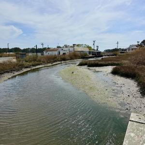 Photo #30 of 6392 TEAL LN, CHINCOTEAGUE, VA 0.0 acres