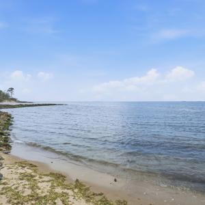 Photo #74 of 1495 ARLINGTON CHASE RD, CAPE CHARLES, VA 0.8 acres