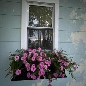 Photo #64 of 3284 COLONA ST, CHINCOTEAGUE, VA 0.2 acres