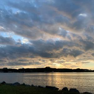 Photo #14 of 16422 WANDERERS PORT LANE, ONANCOCK, VA 1.8 acres