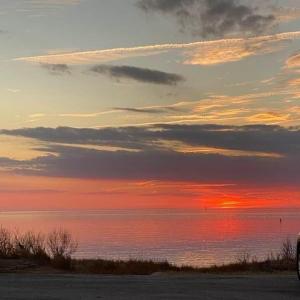 Photo #68 of 20363 CANVASBACK LN, ONANCOCK, VA 0.5 acres