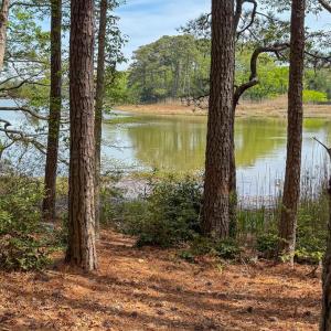 Photo #51 of 14385 HARBOUR LN, EASTVILLE, VA 2.1 acres