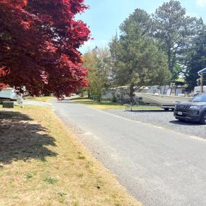 Street View 1