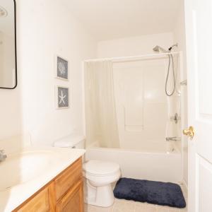 Photo #9 of 3389 CAPTAINS CORRIDOR, GREENBACKVILLE, VA 9,928.0 acres