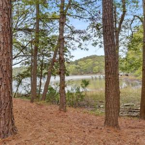 Photo #32 of 12117 TROUT LN, MACHIPONGO, VA 0.8 acres