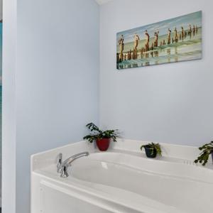 Photo #26 of 3220 RIDGE RD, CHINCOTEAGUE, VA 0.5 acres