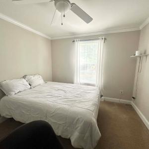 Photo #18 of 11525 OCCOHANNOCK ROAD, EXMORE, VA 0.6 acres