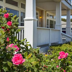 Photo #29 of 3142 BUNBURY PLANTATION LN, CAPE CHARLES, VA 0.5 acres