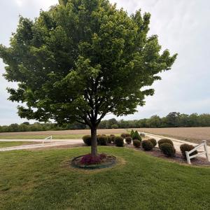 Photo #20 of 34085 DRUMMOND RD, CRADDOCKVILLE, VA 1.3 acres