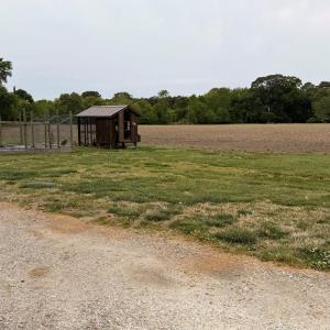 Photo #50 of 34085 DRUMMOND RD, CRADDOCKVILLE, VA 1.3 acres